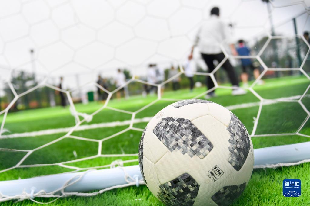 这也为教练 这也为教练